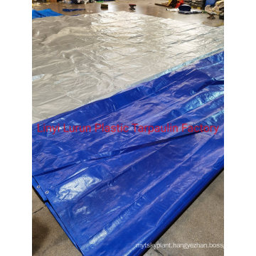 Blue/Silver PE Tarpaulin Sheet